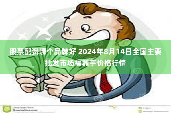 股票配资哪个品牌好 2024年8月14日全国主要批发市场福鼎芋价格行情