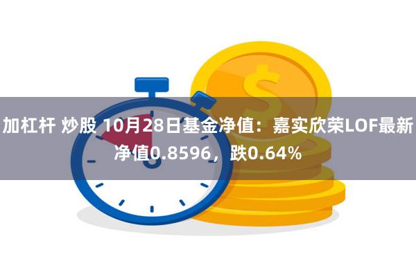 加杠杆 炒股 10月28日基金净值：嘉实欣荣LOF最新净值0.8596，跌0.64%