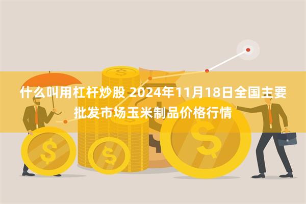 什么叫用杠杆炒股 2024年11月18日全国主要批发市场玉米制品价格行情