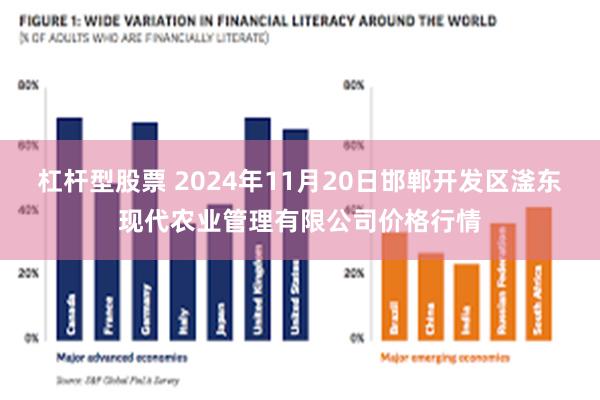 杠杆型股票 2024年11月20日邯郸开发区滏东现代农业管理有限公司价格行情