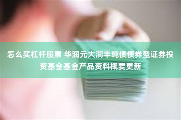 怎么买杠杆股票 华润元大润丰纯债债券型证券投资基金基金产品资料概要更新