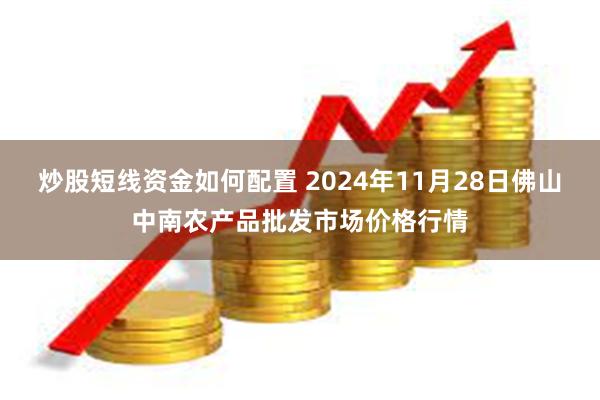 炒股短线资金如何配置 2024年11月28日佛山中南农产品批发市场价格行情