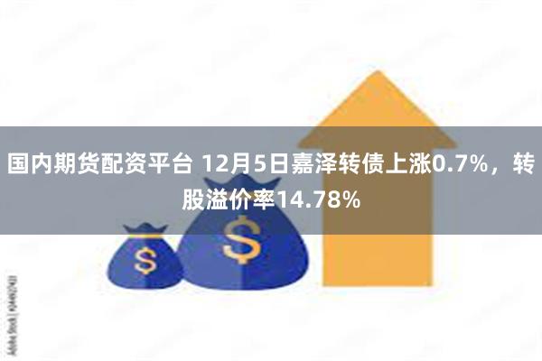 国内期货配资平台 12月5日嘉泽转债上涨0.7%，转股溢价率14.78%