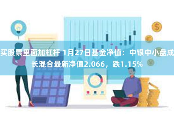 买股票里面加杠杆 1月27日基金净值：中银中小盘成长混合最新净值2.066，跌1.15%